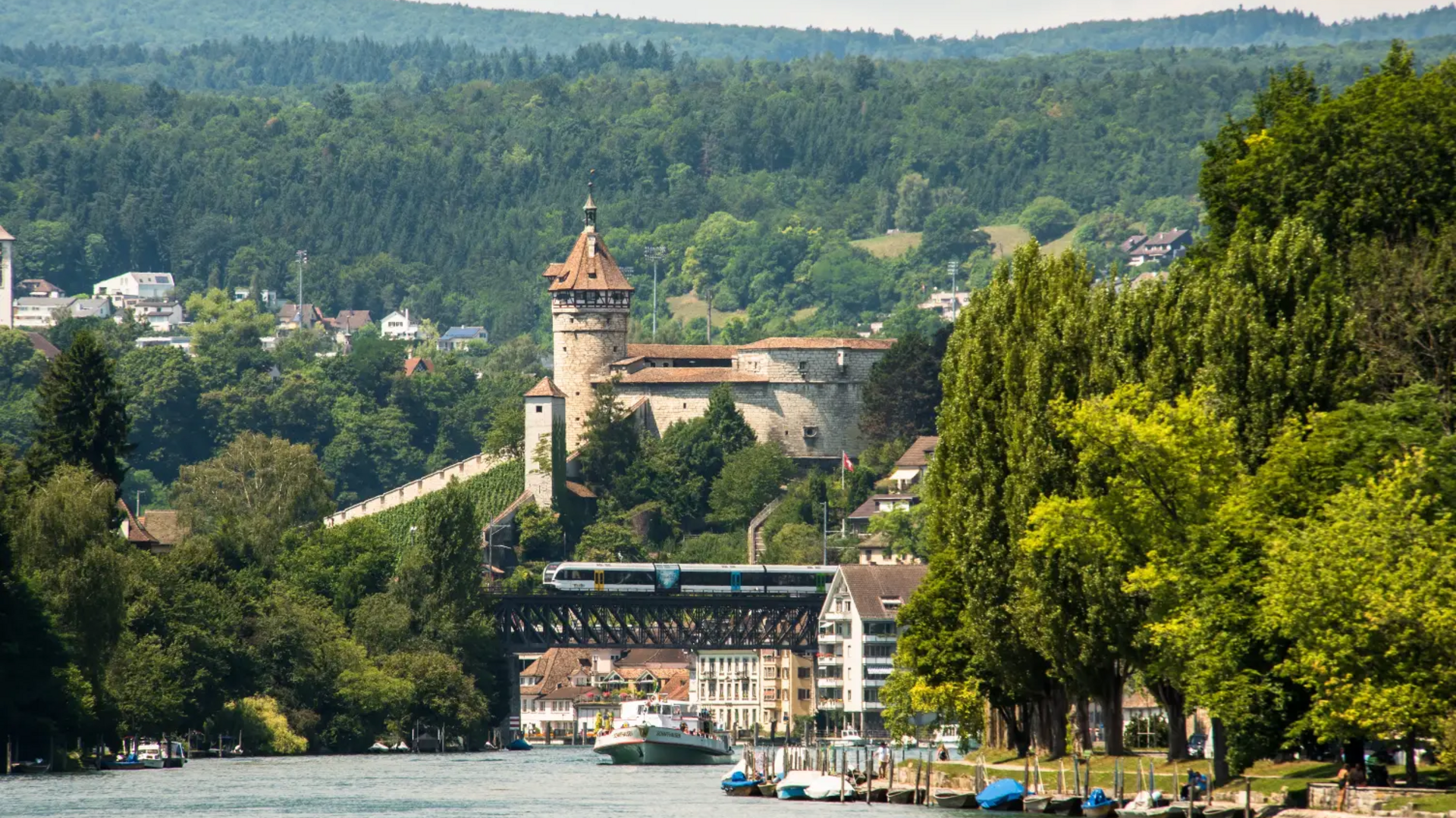 Castle with tower by river, train on bridge, green trees and hills in background