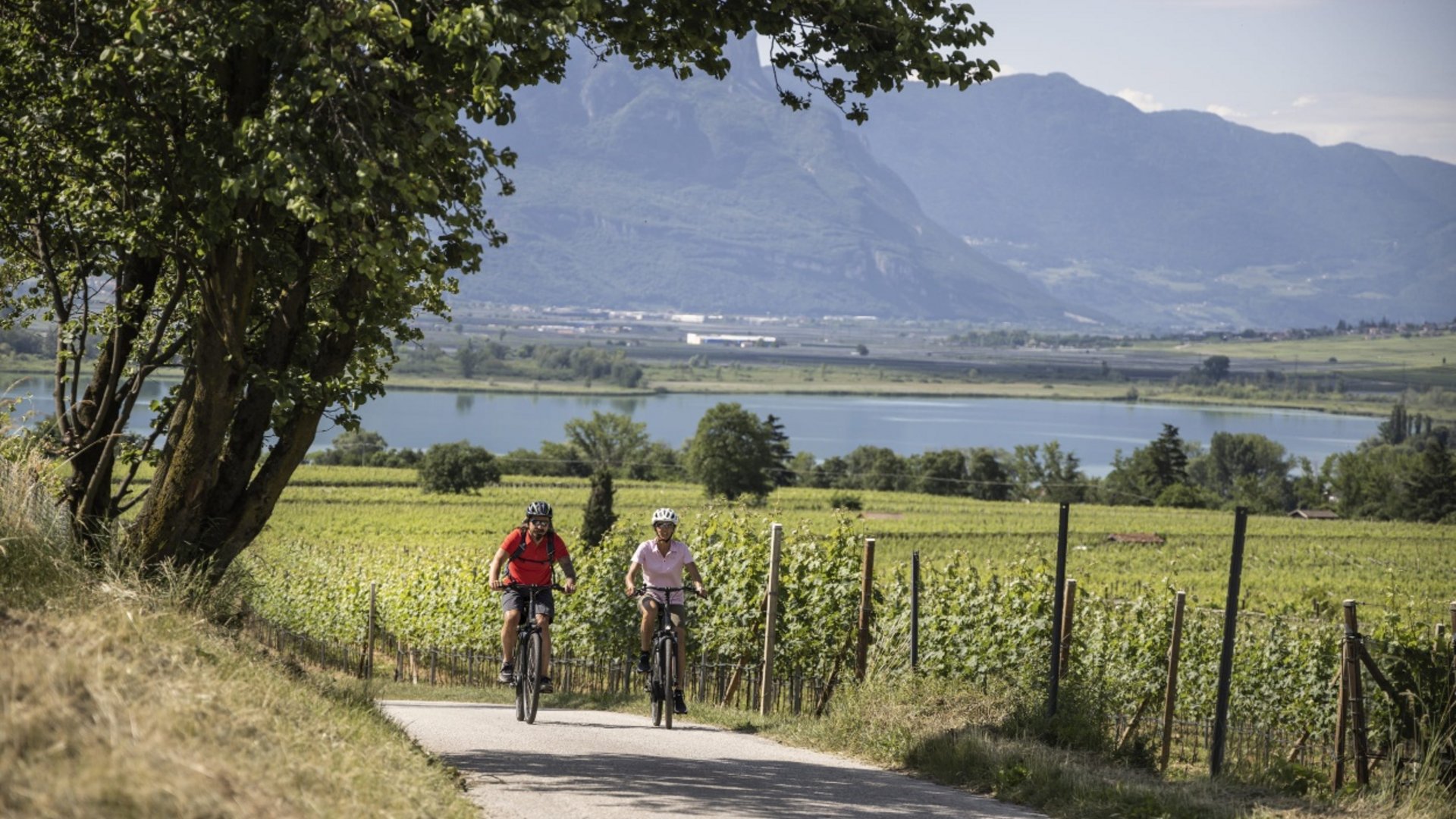 Two cyclists on country road with vineyards and mountains in the background