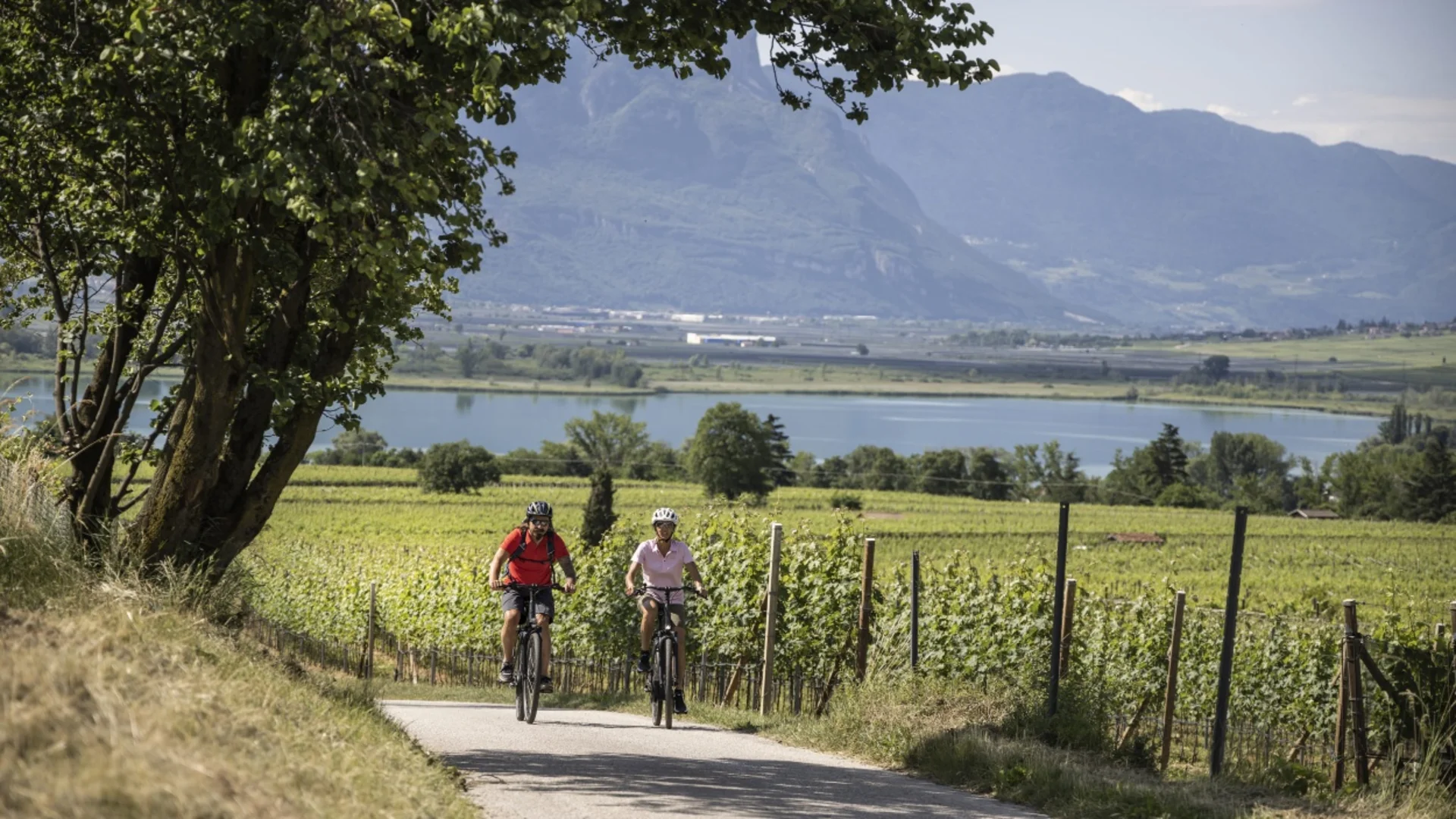 Zwei Radfahrer auf Landstraße mit Weinbergen und Bergblick im Hintergrund