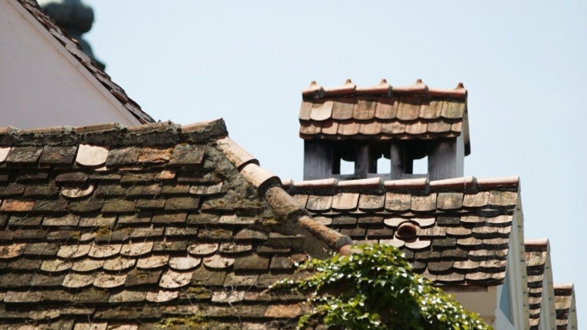 Old moss-covered roof with ivy on a historic building