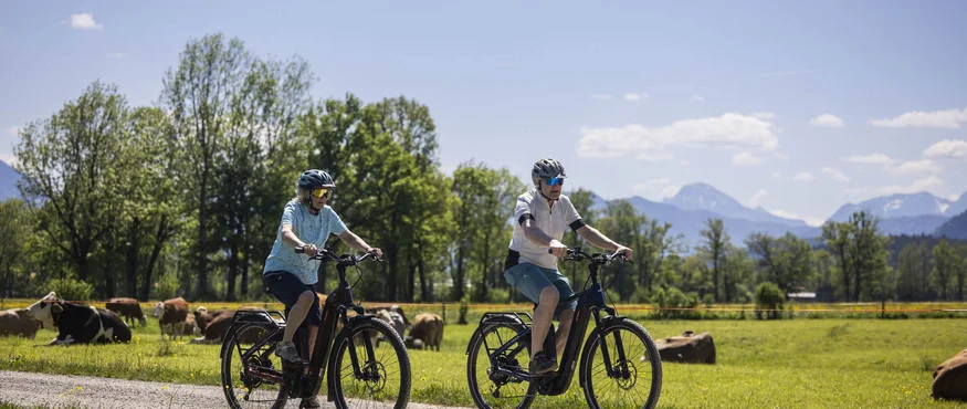 Im Sattel durchs Tölzer Land entlang von Isar & Loisach © Velontour Zwei Radfahrer auf Landweg mit Kühen und Bergen im Hintergrund