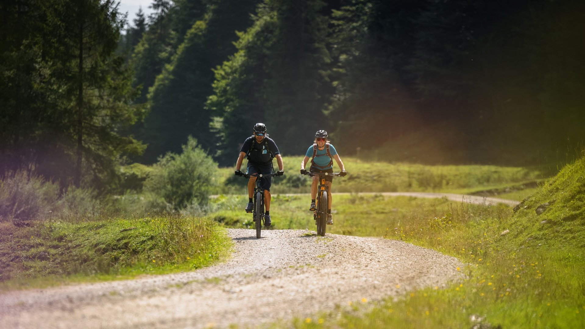 Two cyclists riding on a forest trail through green landscape