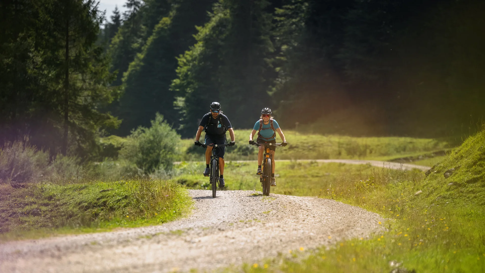 Zwei Radfahrer fahren auf einem Waldweg durch grüne Landschaft