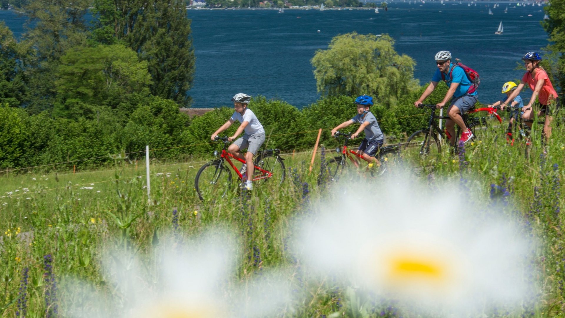 Family cycling on a lake-side trail surrounded by greenery and flowers