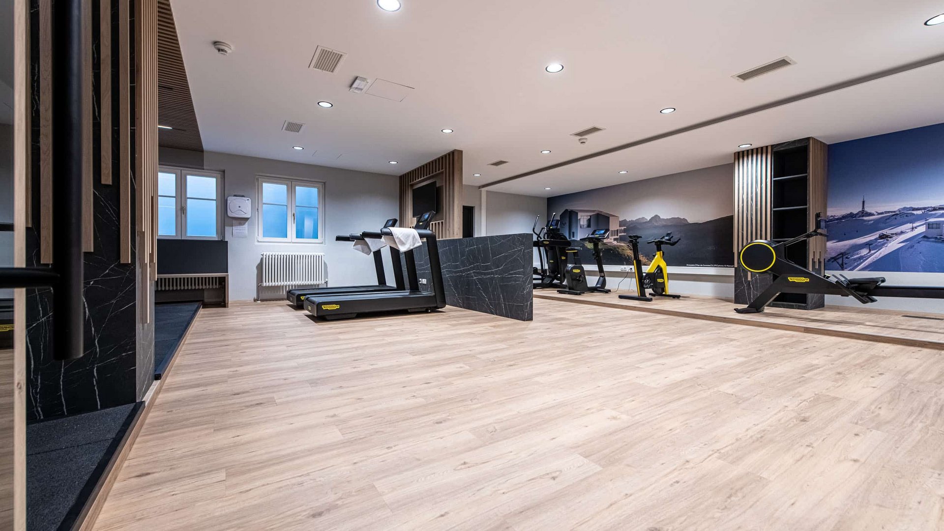 Modern gym with treadmills and stationary bikes against scenic wall art
