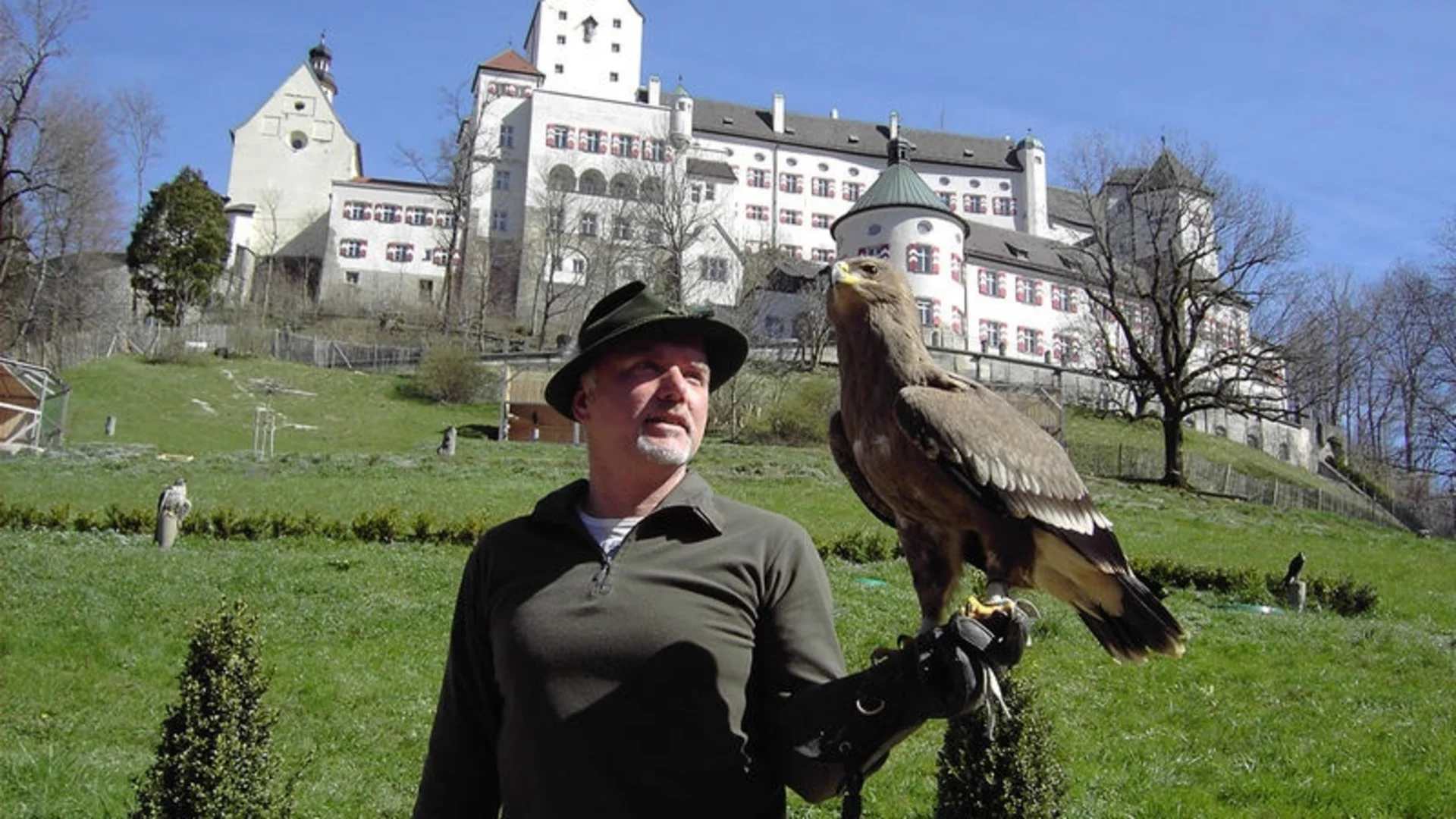 Mann mit Falknerhandschuh hält Adler vor Schloss bei sonnigem Himmel
