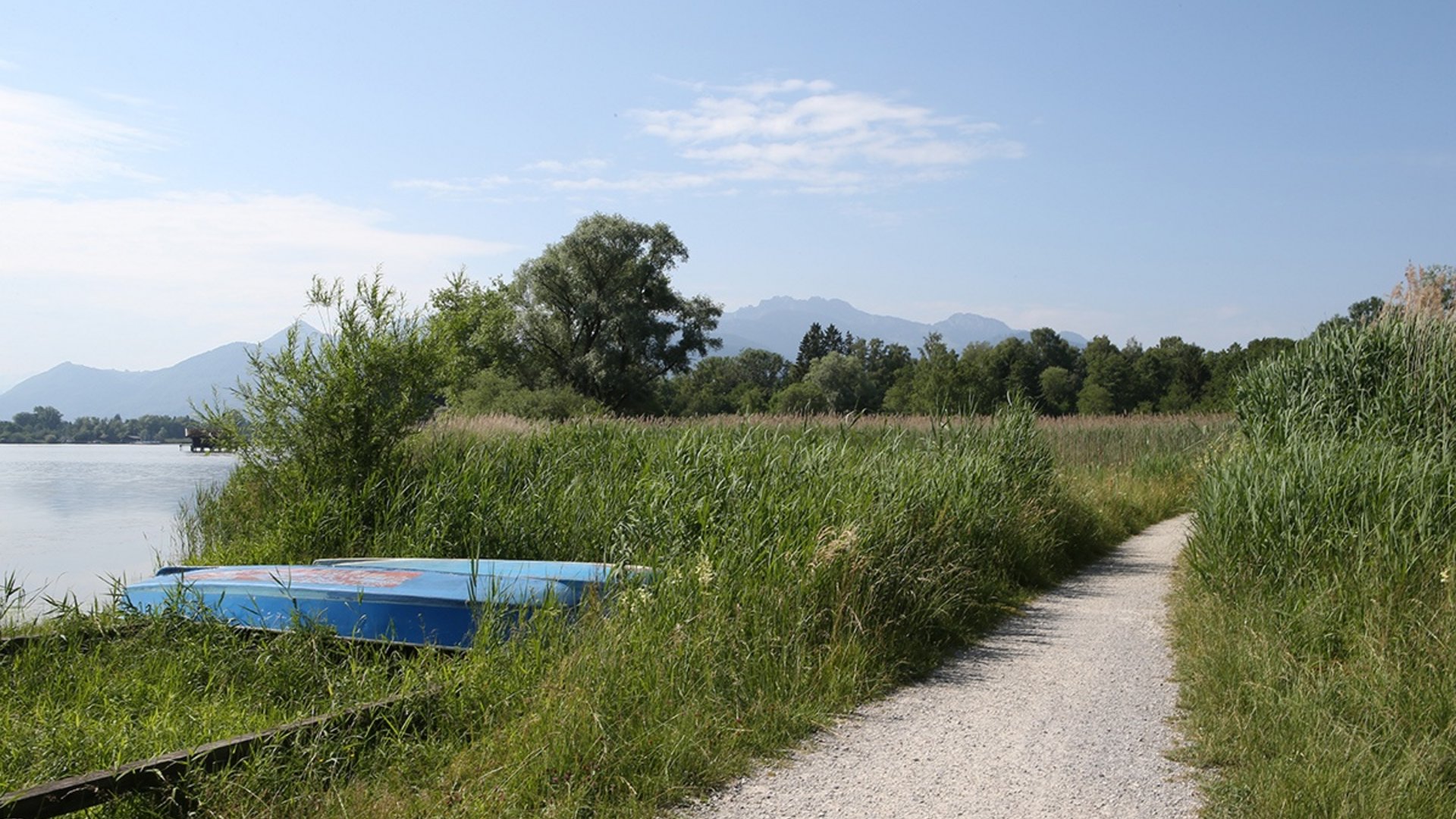 Grassy lakeside path with an upside-down blue boat in the grass