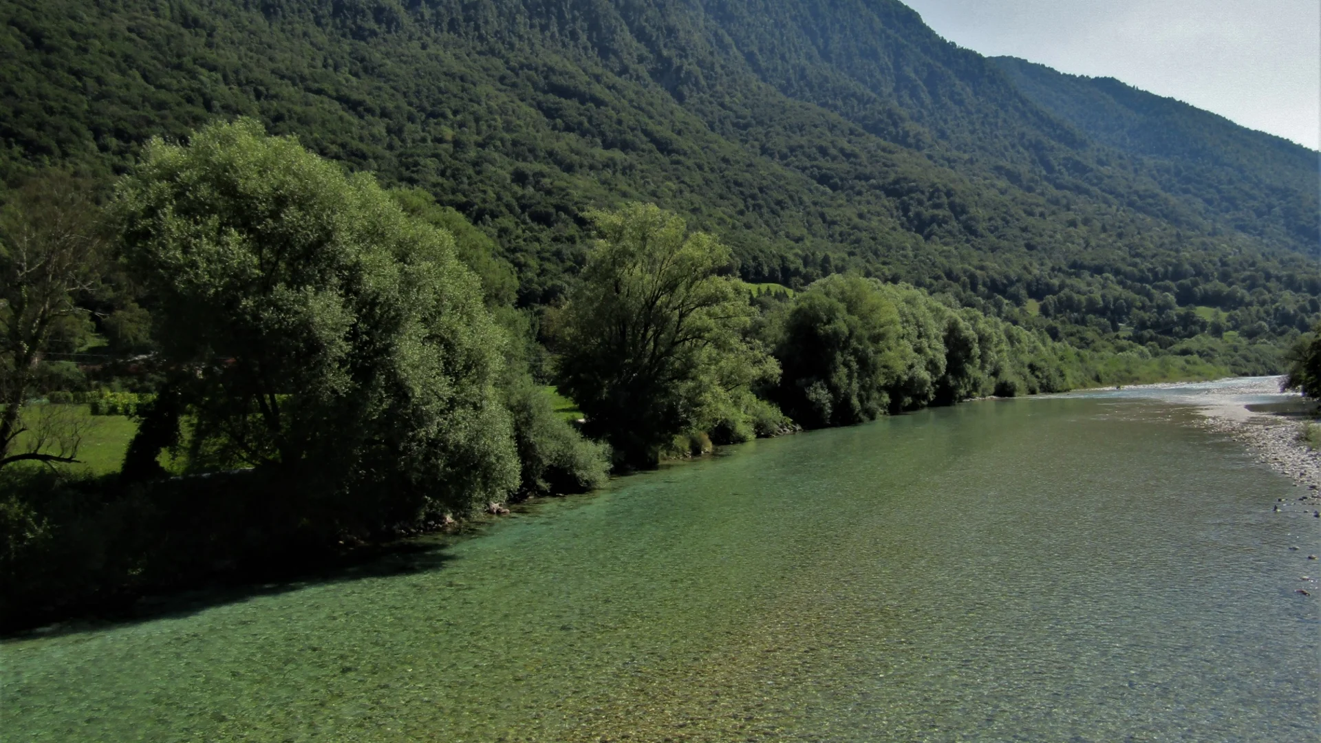 Heldere rivier naast beboste berg in zonlicht