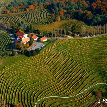 Aerial view of terraced vineyards and village in Jeruzalem, Slovenia