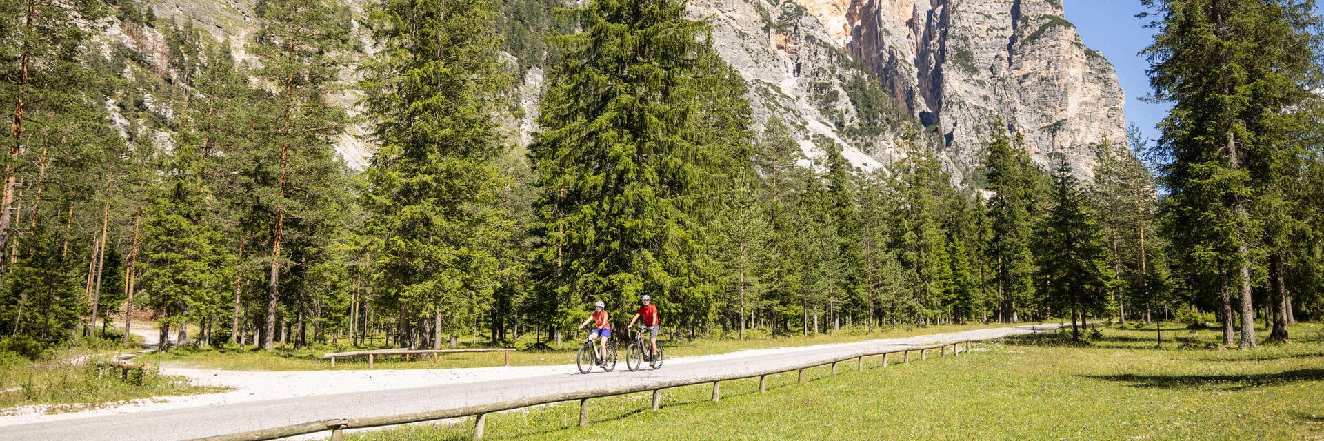 Two cyclists on country road with mountain backdrop and pine forest in sunshine