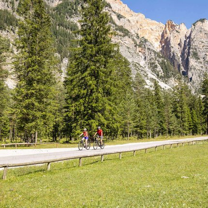 Two cyclists on country road with mountain backdrop and pine forest in sunshine