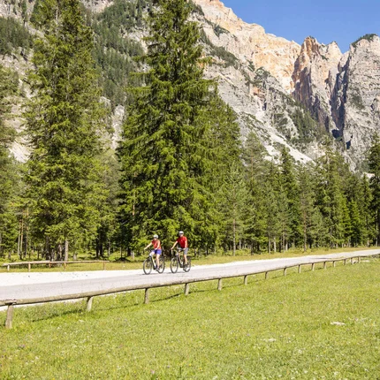 Twee fietsers op landweg met bergachtergrond en dennenbos in zonlicht
