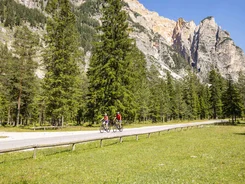 Twee fietsers op landweg met bergachtergrond en dennenbos in zonlicht