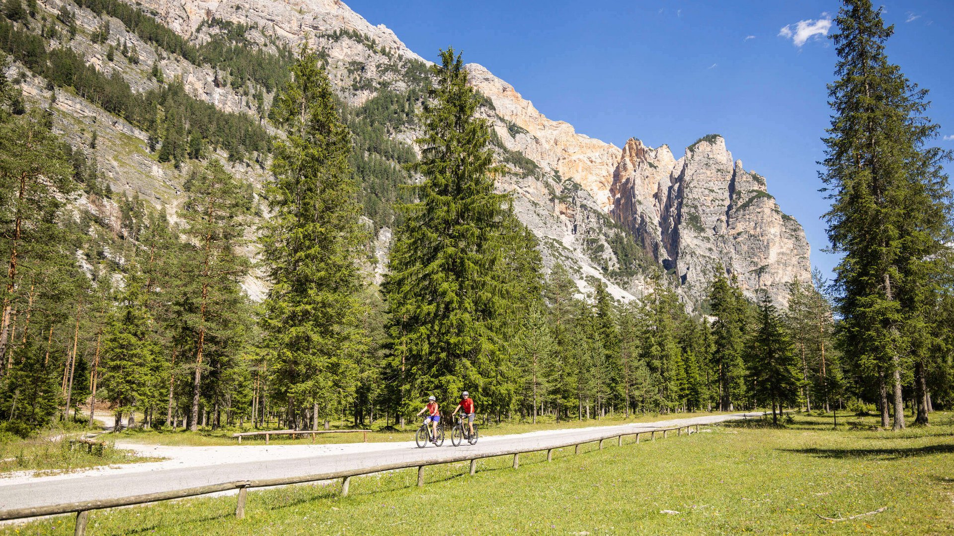 Two cyclists on country road with mountain backdrop and pine forest in sunshine