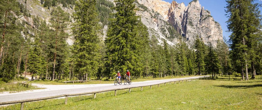 Two cyclists on country road with mountain backdrop and pine forest in sunshine