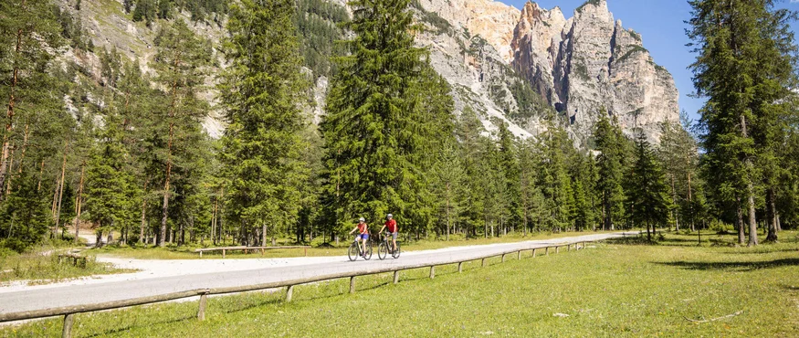 Twee fietsers op landweg met bergachtergrond en dennenbos in zonlicht