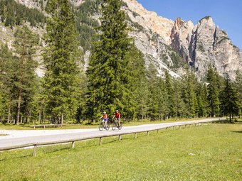 Two cyclists on country road with mountain backdrop and pine forest in sunshine