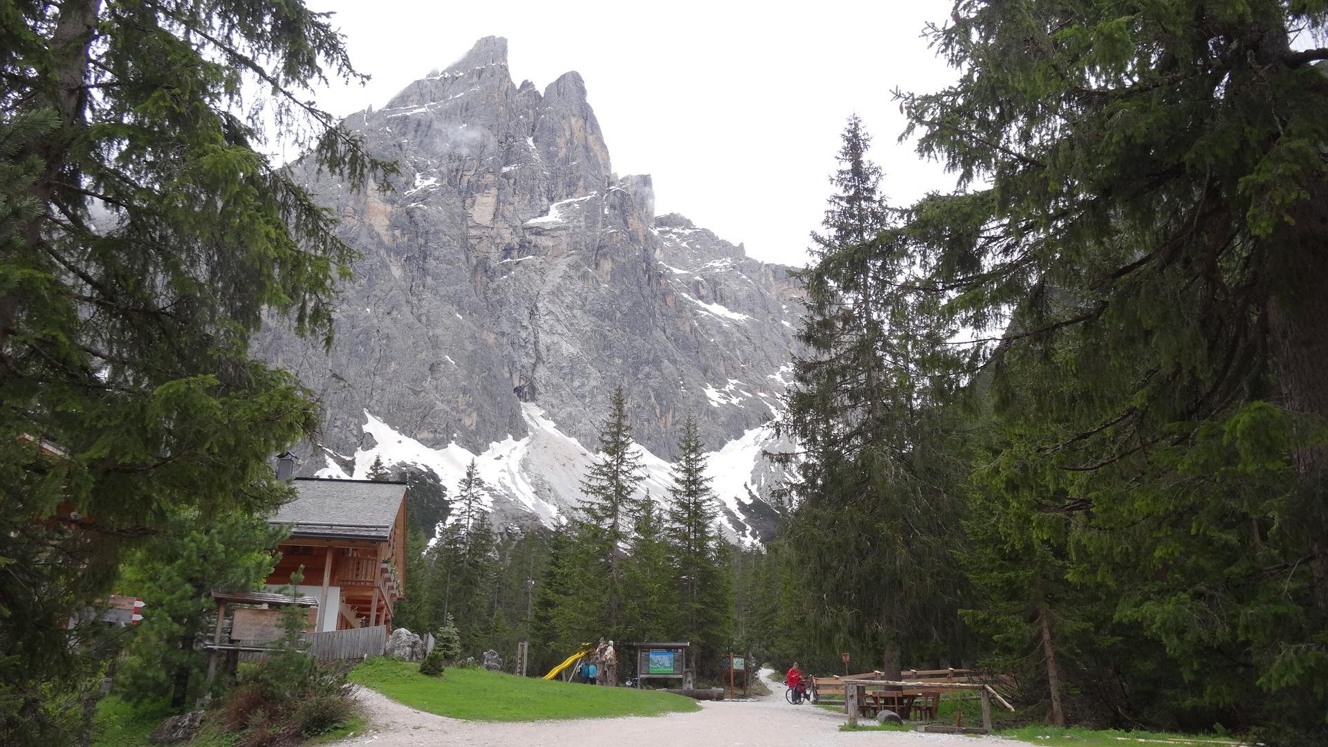 Forest path with wooden house, hikers, and snow-covered mountains in background