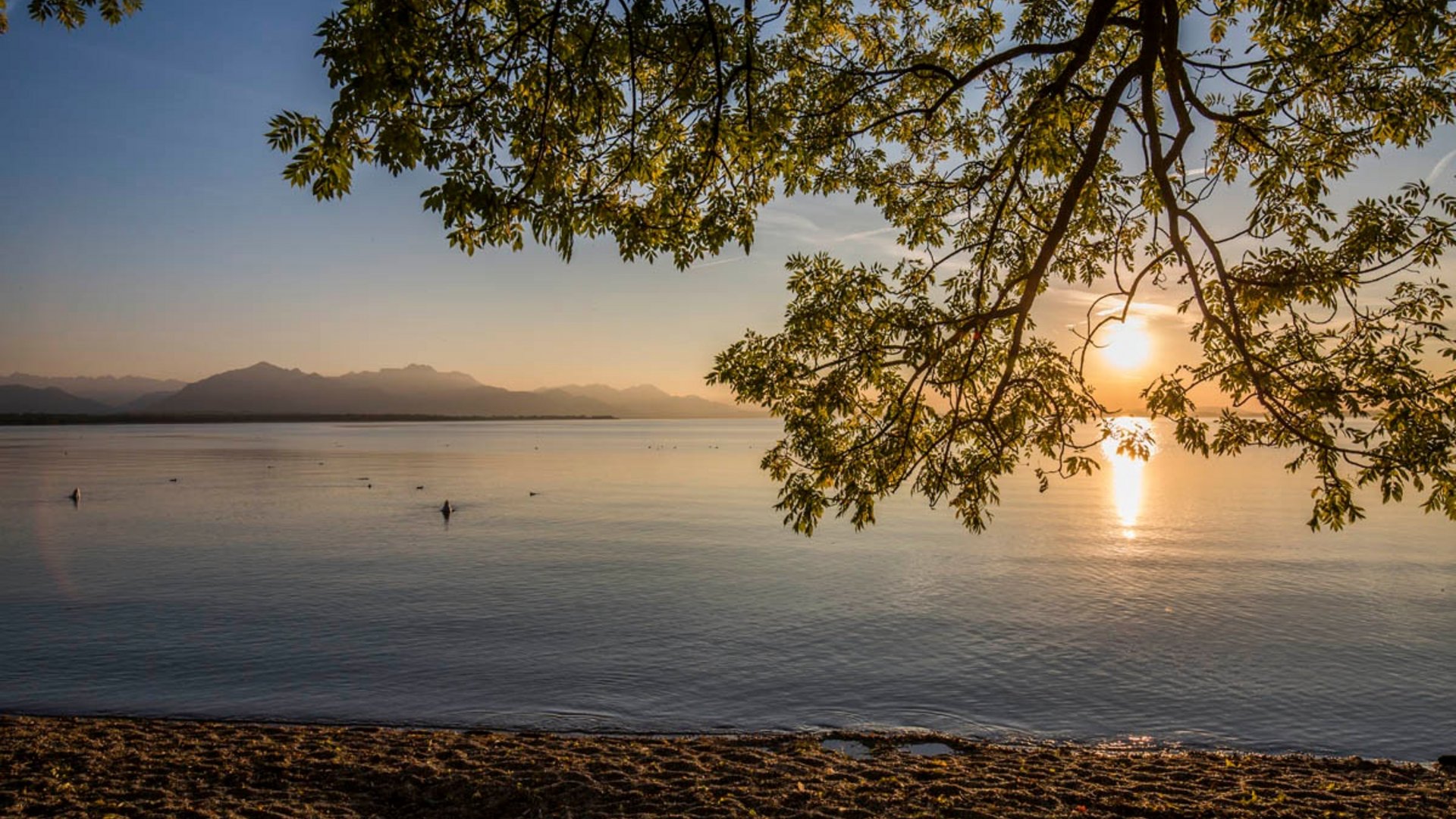 Sunset over lake with mountains and tree branches in foreground