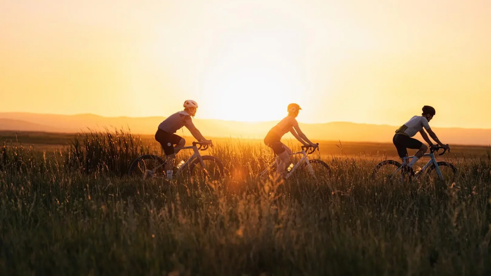 B45 Sonnenland Tour © Thomas Schrempf Drei Radfahrer fahren bei Sonnenuntergang durch hohes Gras