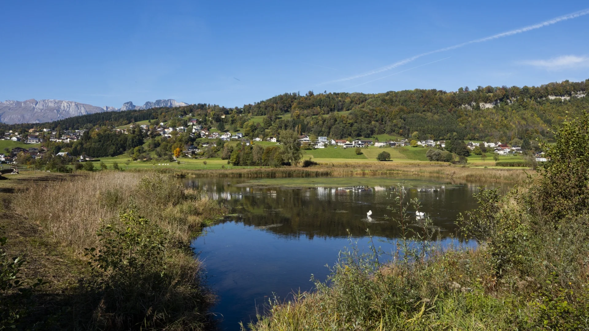 See mit Schwänen vor einem bewaldeten Hügel und Dorf unter blauem Himmel