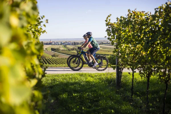 Zwei Radfahrer fahren durch Weinberge an einem sonnigen Tag