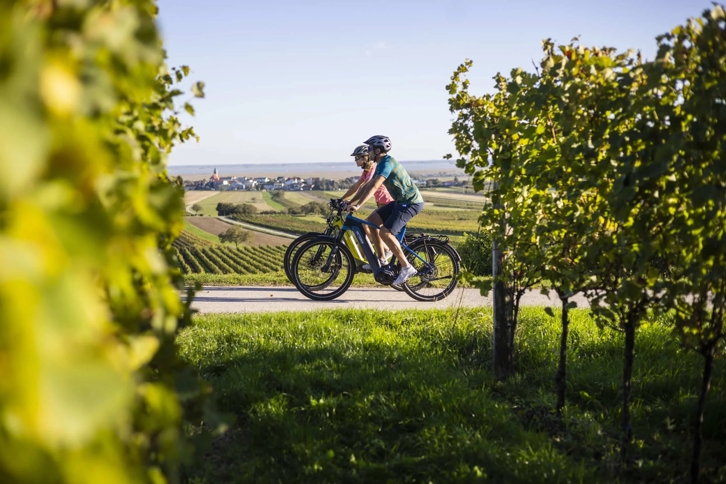 Zwei Radfahrer fahren durch Weinberge an einem sonnigen Tag