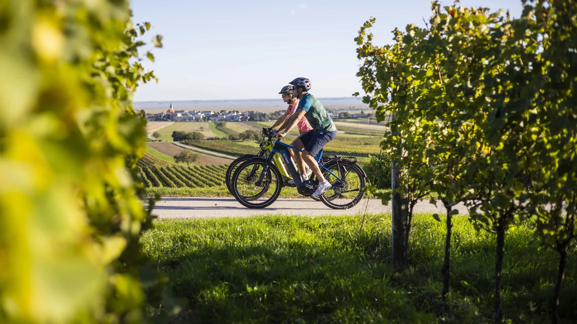 Zwei Radfahrer fahren durch Weinberge an einem sonnigen Tag