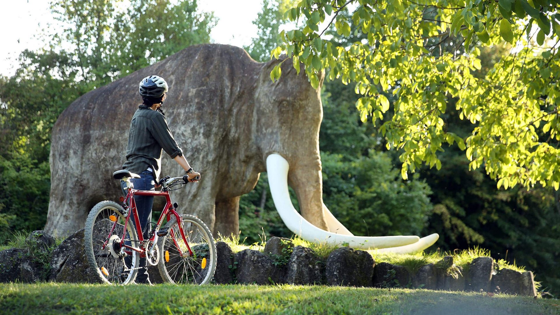 Person with bicycle looks at a large elephant statue in the park