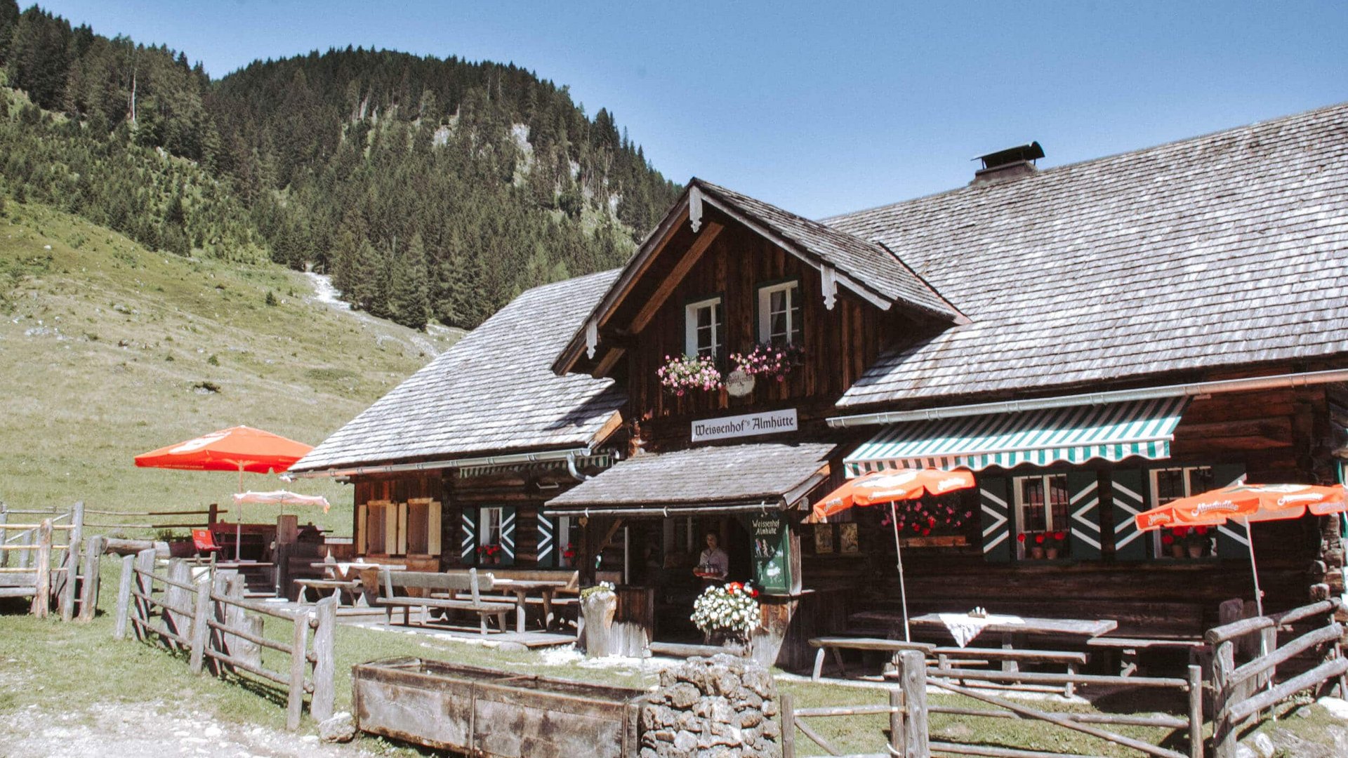 Rustic mountain hut restaurant with outdoor seating and scenic forest view