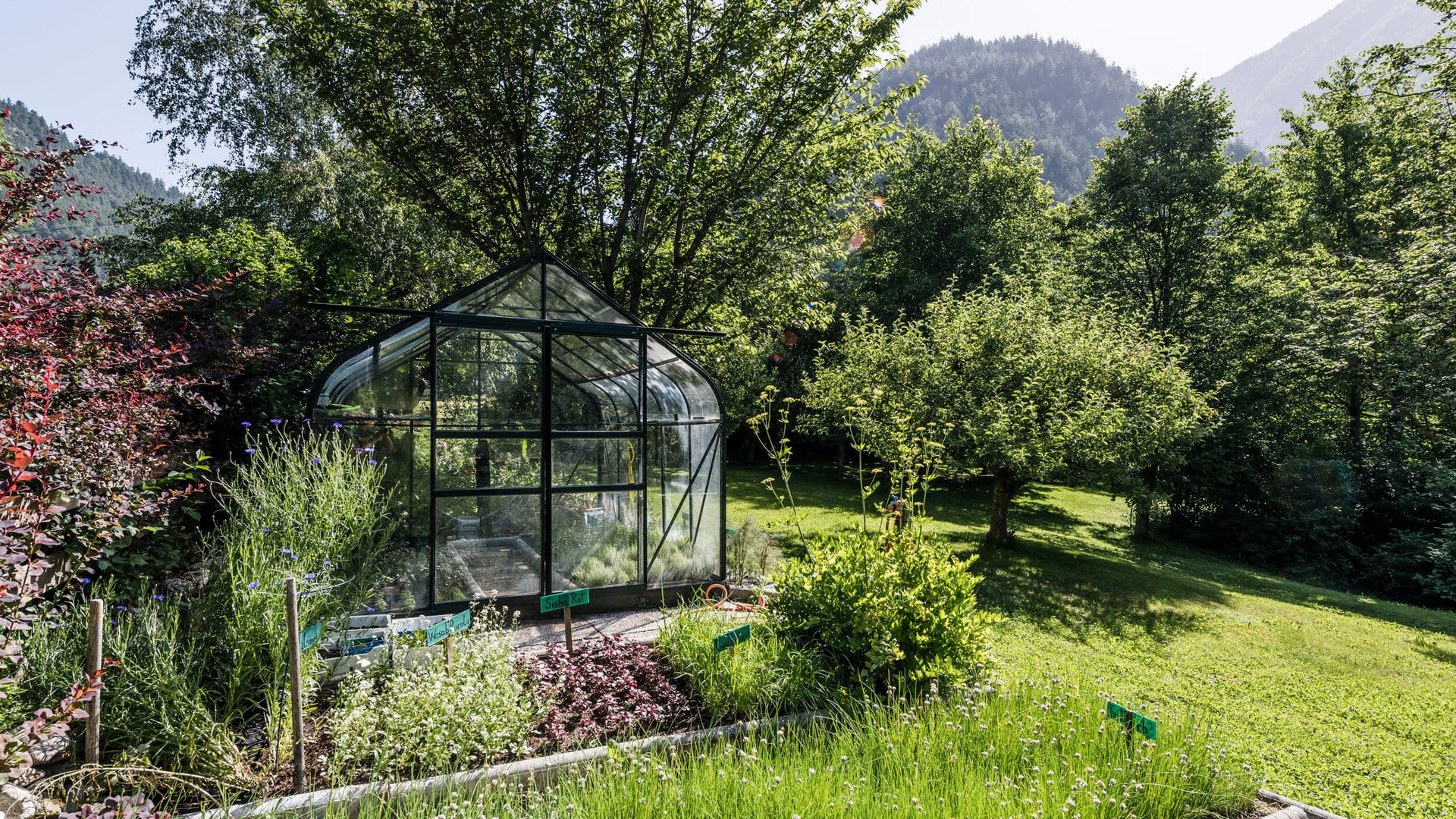 Greenhouse in garden surrounded by plants and trees on a sunny day