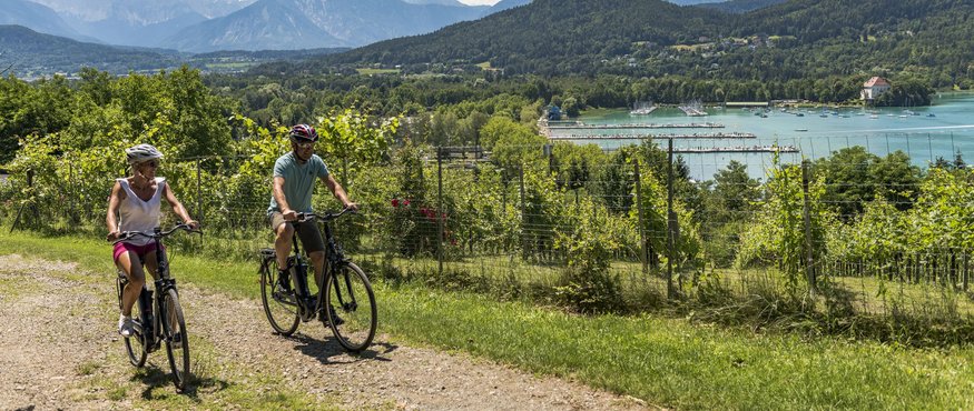 Two cyclists on path with Alps and lake in the background