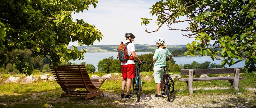 Two cyclists overlooking lake in green landscape