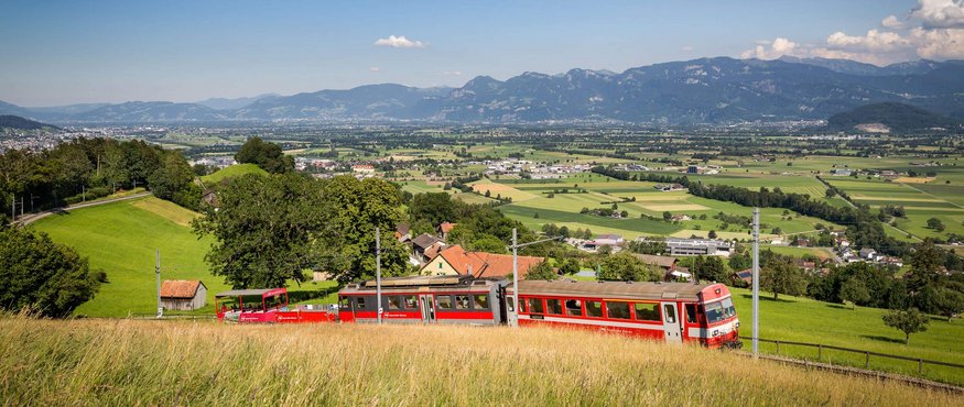 Red train traveling through green fields with mountains under clear sky