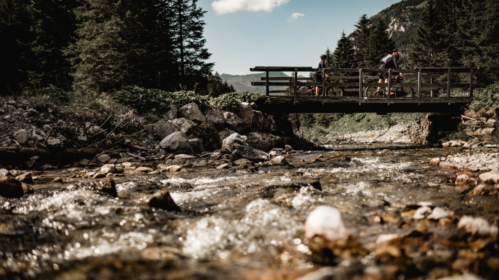 Cyclists on a bridge over a mountain stream surrounded by trees