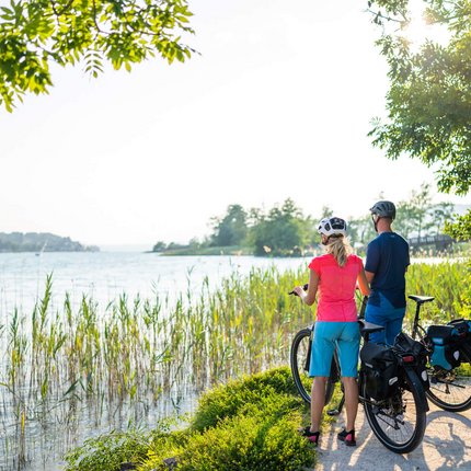 Couple with bicycles looking at a sunny lake by the lush shoreline