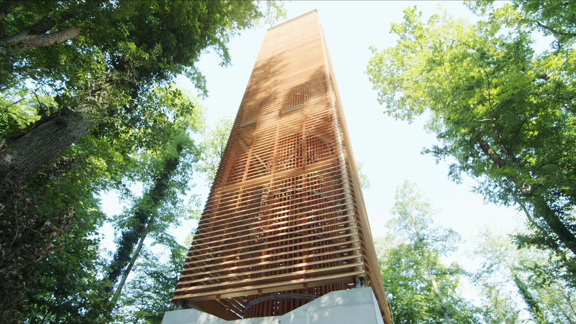 Moderne houten klokkentoren omringd door bomen in het bos