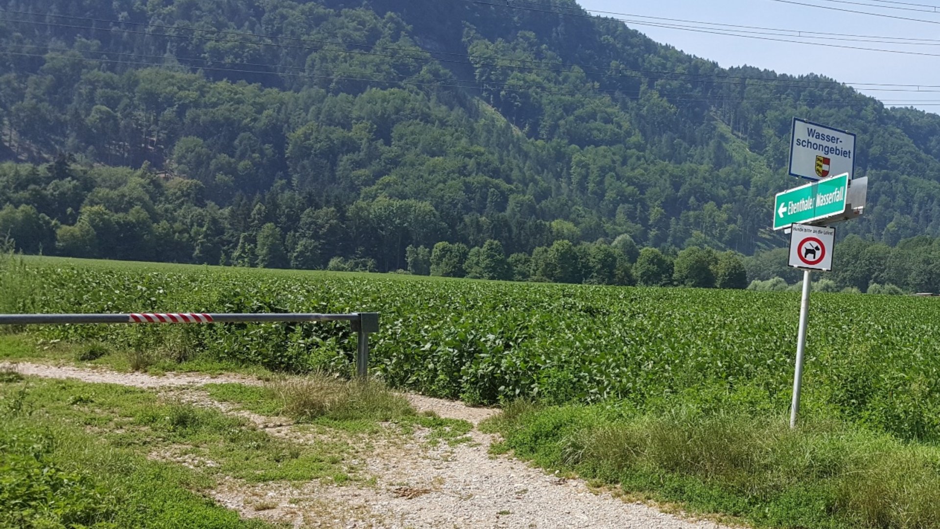 Signpost and barrier by green field with forested hill in the background