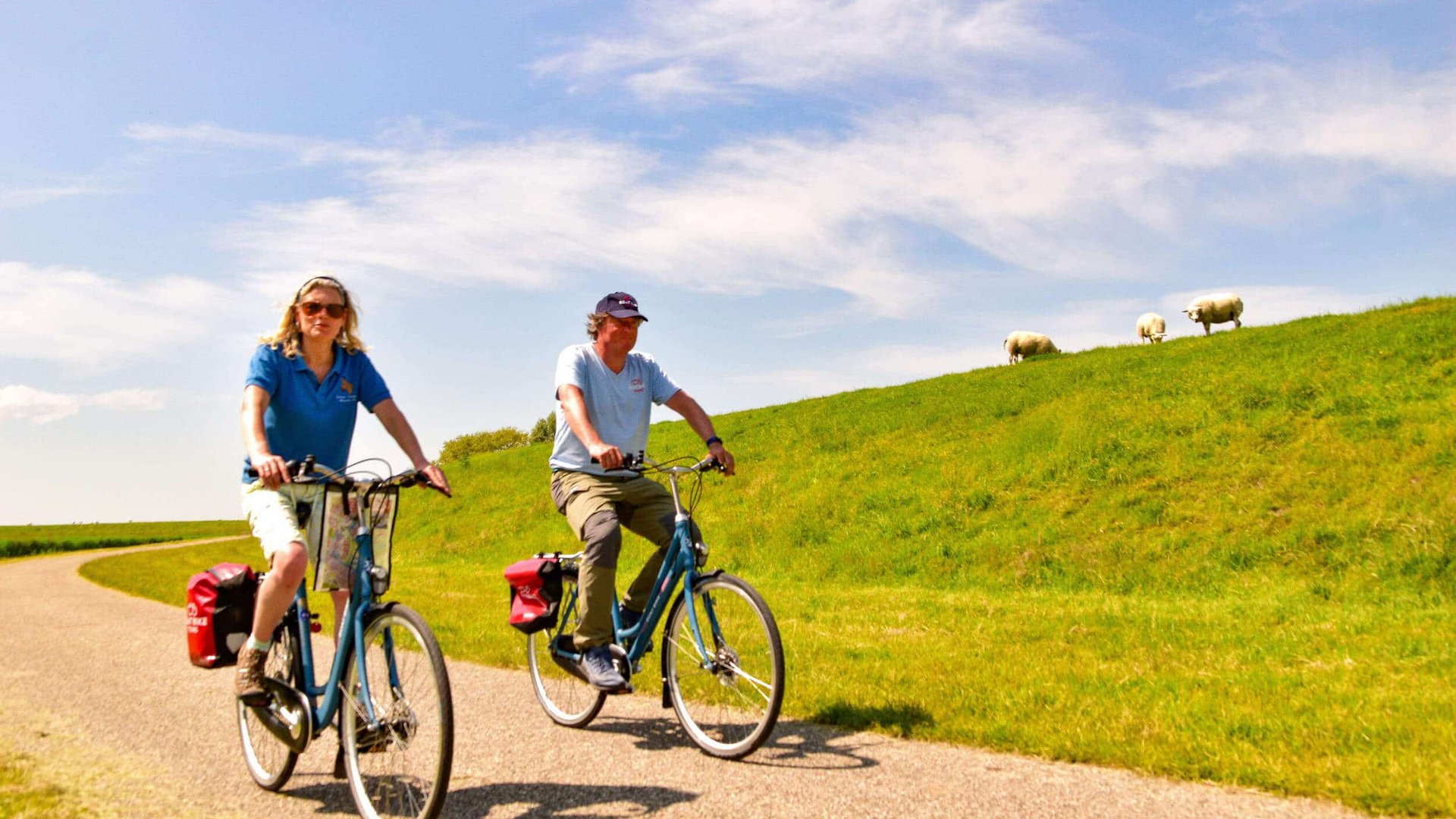 Two people cycling on country road beside green hill with sheep