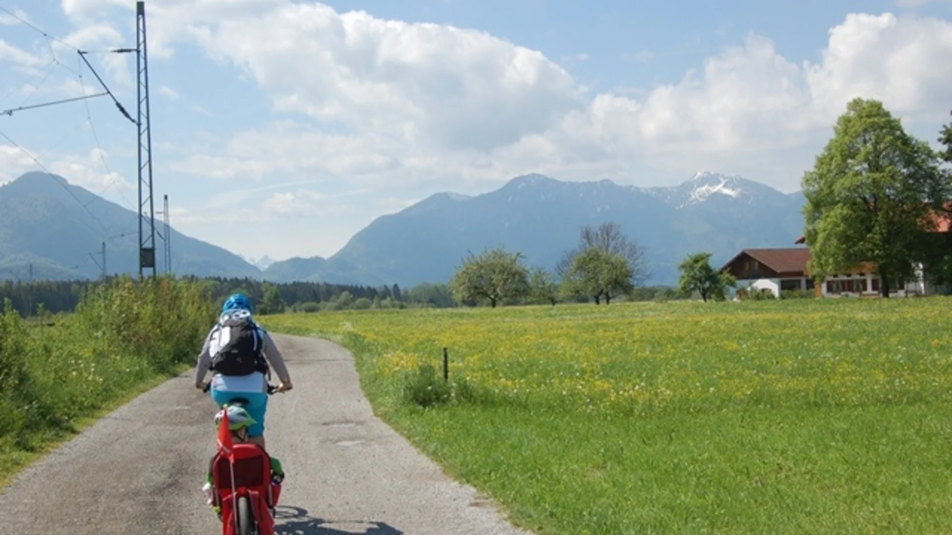 Fahrradfahrer auf Landstraße mit Alpen und blühenden Wiesen im Hintergrund