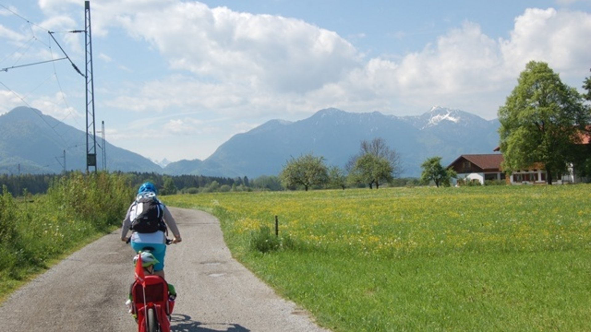 Cyclist on rural road with Alps and blooming meadows in the background