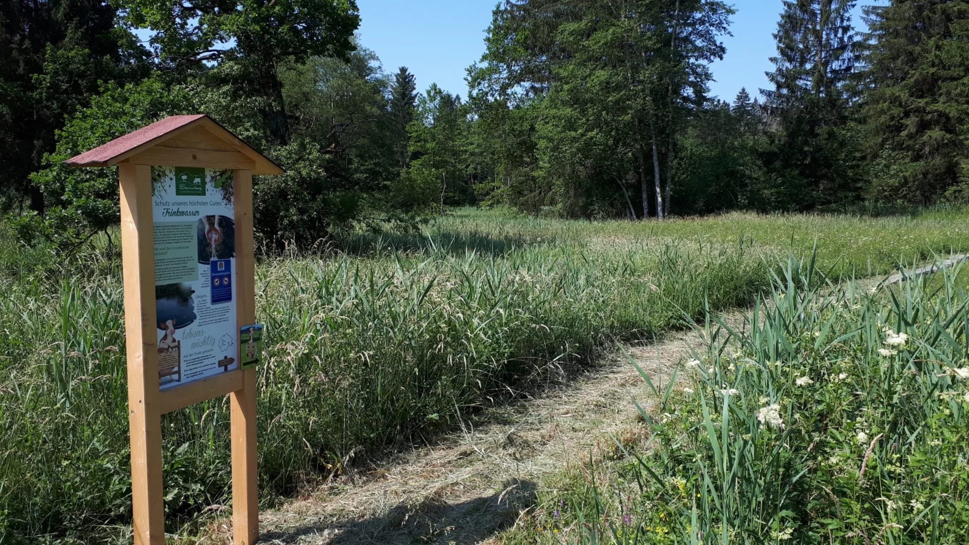 Holztafel mit Informationsschild auf grasigem Weg im Grünen vor Wald