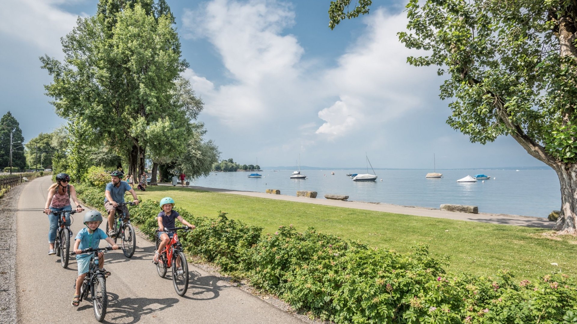 Family biking along lakeside path on sunny day with boats in water