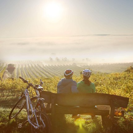 Zwei Radfahrer sitzen auf einer Bank mit Blick auf einen nebligen Weinberg bei Sonnenaufgang
