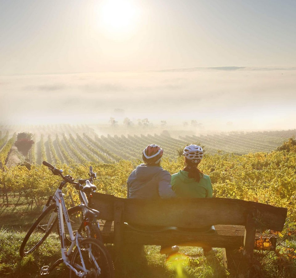 Zwei Radfahrer sitzen auf einer Bank mit Blick auf einen nebligen Weinberg bei Sonnenaufgang