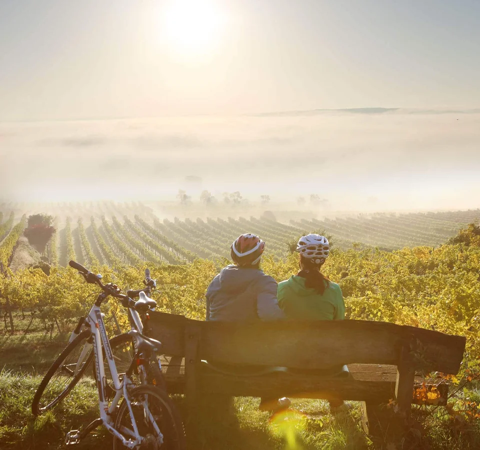 Zwei Radfahrer sitzen auf einer Bank mit Blick auf einen nebligen Weinberg bei Sonnenaufgang