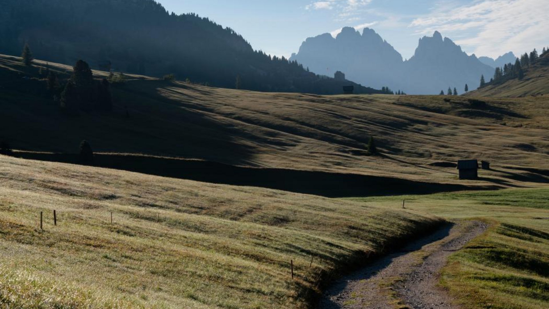 Walking trail through grassy hills with mountain range in background