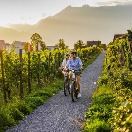 Twee fietsers fietsen door wijngaarden bij zonsondergang