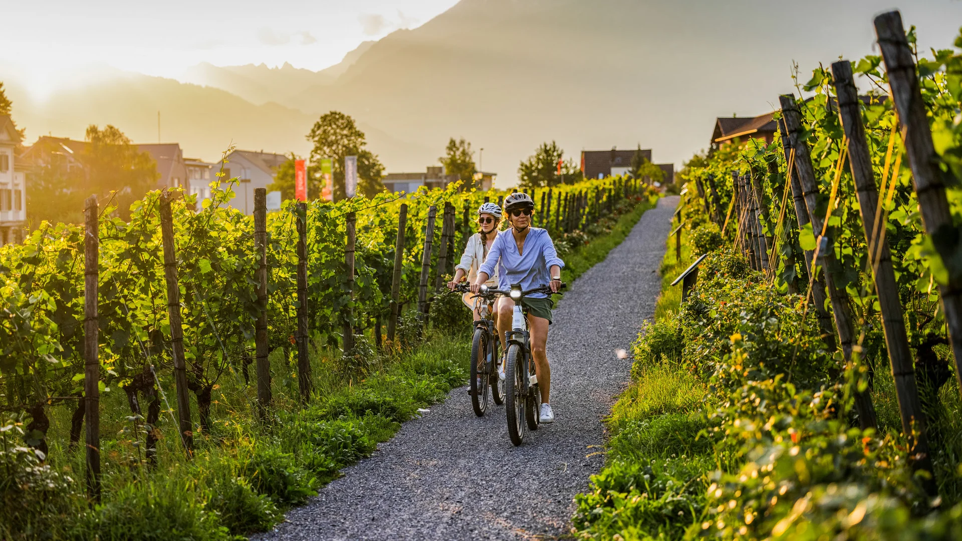 Twee fietsers fietsen door wijngaarden bij zonsondergang