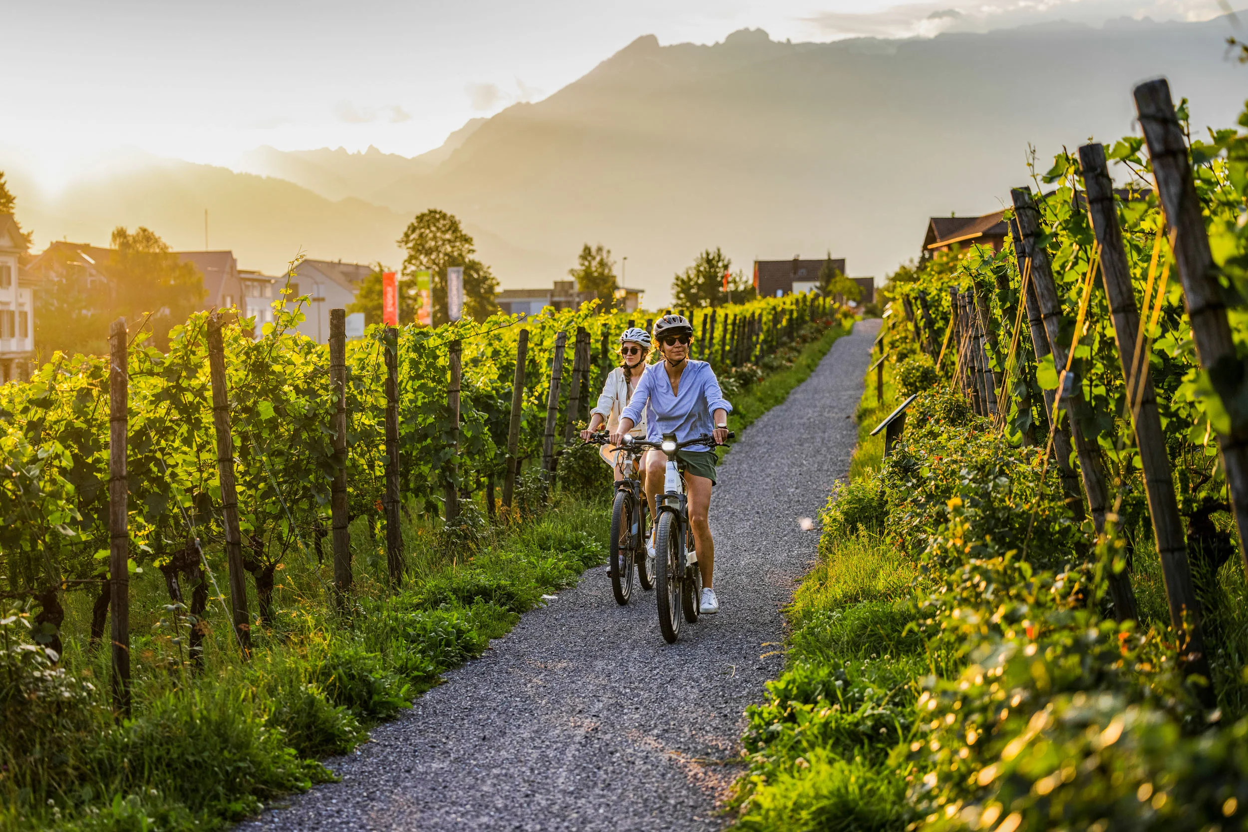 Zwei Radfahrer fahren durch Weinberge bei Sonnenuntergang